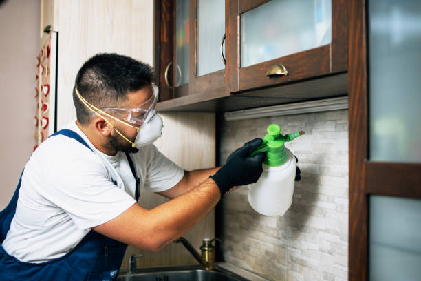 Wasp Removal Services in Metter, GA