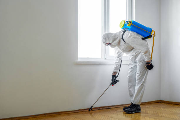 Best Pest Removal Services  in Metter, GA