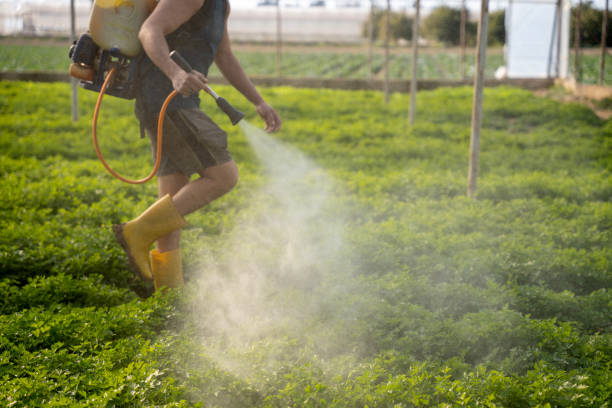 Best Affordable Pest Control Services  in Metter, GA