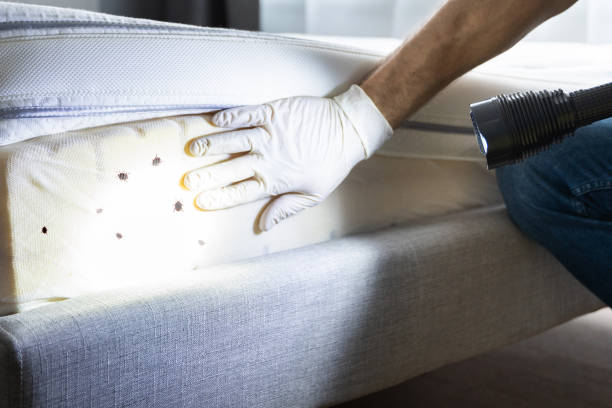 Best Mosquito Control Services  in Metter, GA