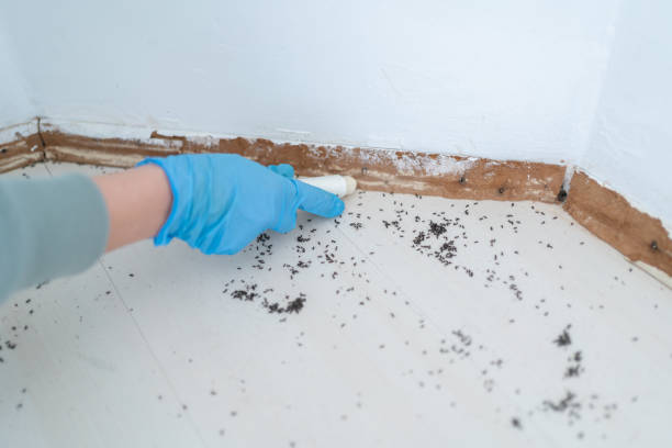 Best Best Pest Control Companies  in Metter, GA