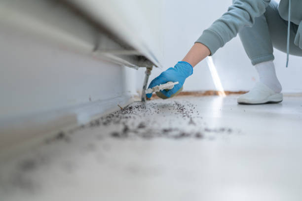 Best Best Pest Control Companies  in Metter, GA