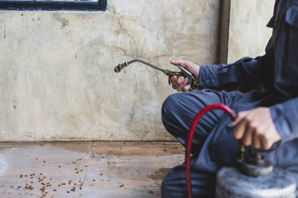 Best Emergency Pest Control  in Metter, GA