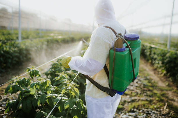  Metter, GA Pest Control Pros
